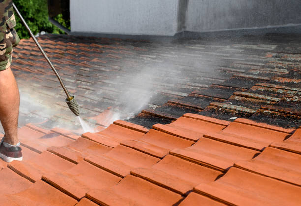 Best Power Washing Near Me  in Rainbow City, AL